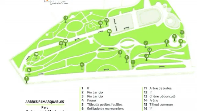 Plan- localisation arbres remarquables