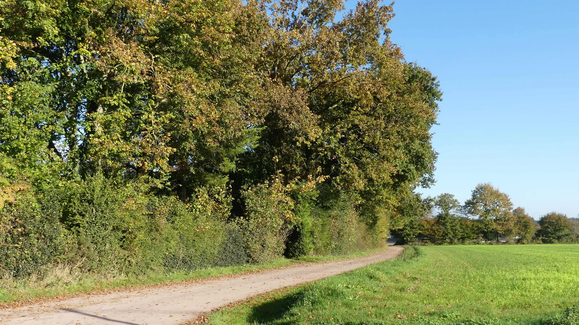 17_Chemin randonnée © Gîte Tir na nog