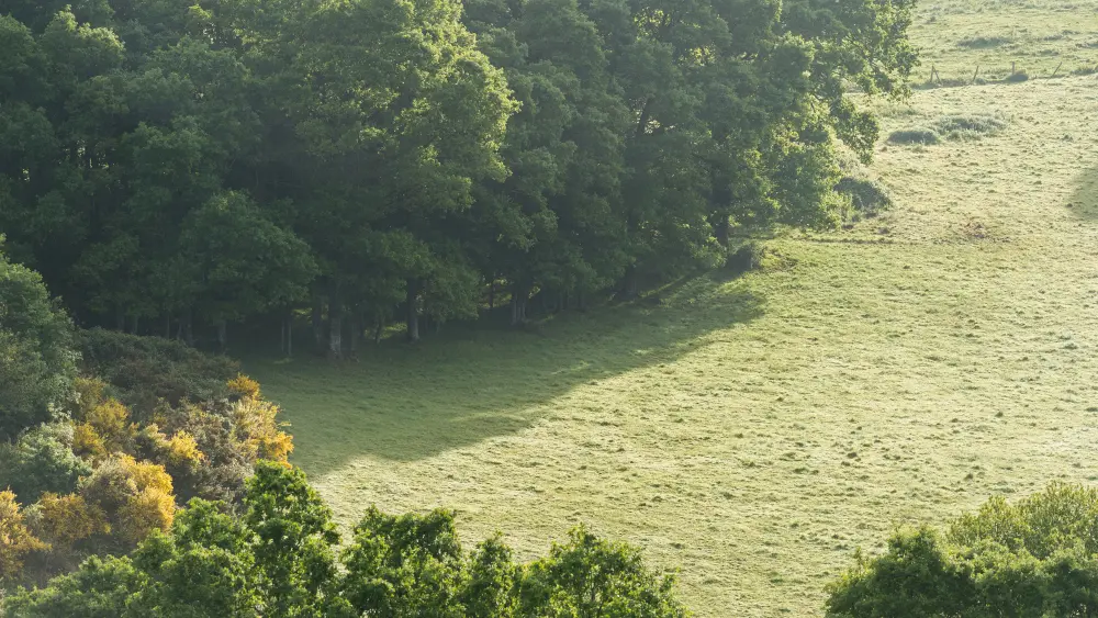La vallée du Couesnon