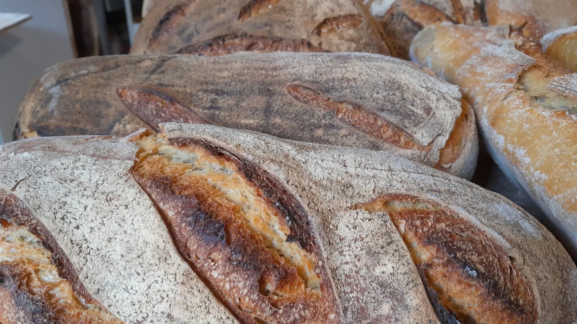 Sacré pain !!! Neulliac