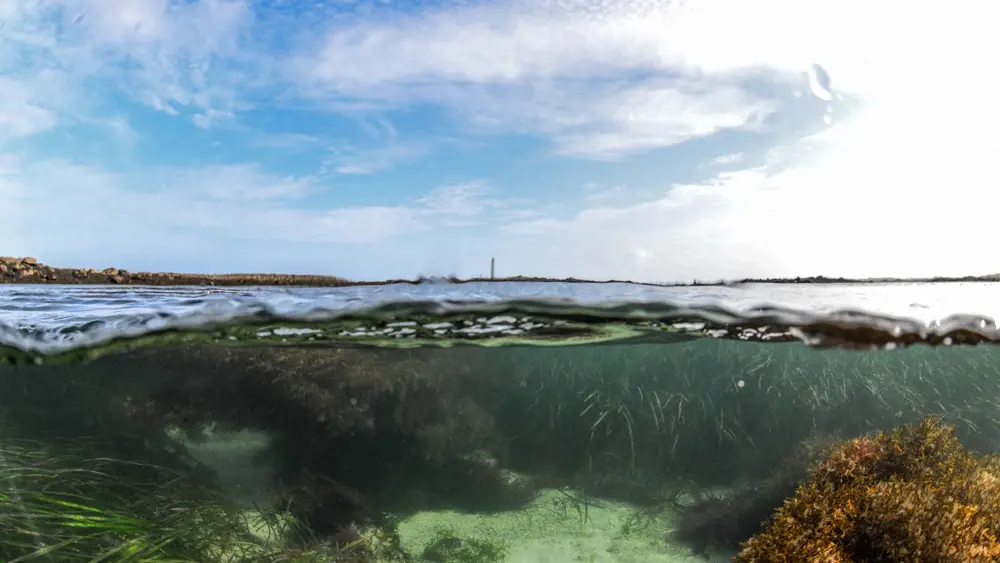 Semi sous-marin SPLUJ