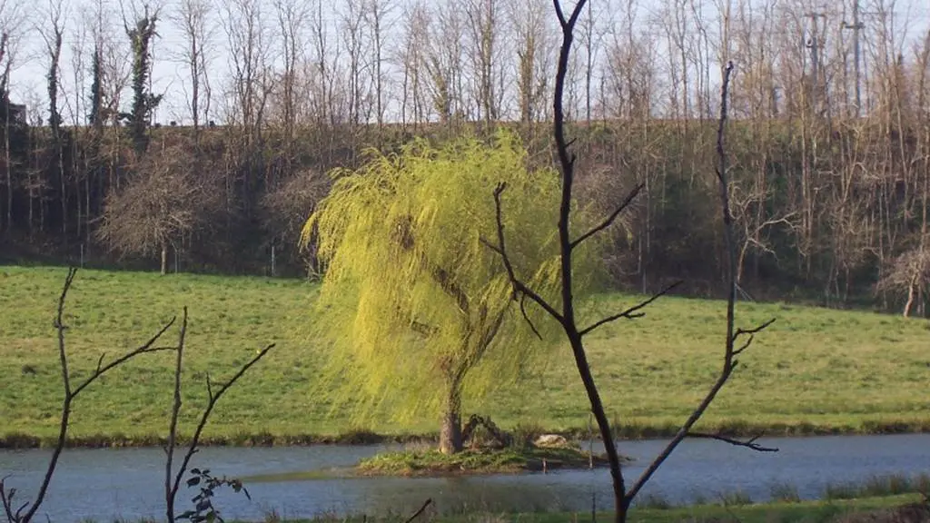 Bois de Kermen - Lanester - Morbihan Bretagne sud