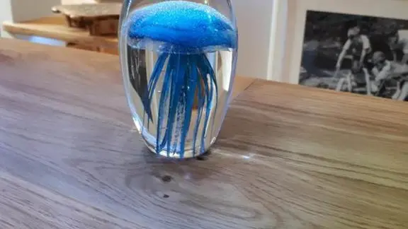 Enezy - Gîte N°56G519 – ARZON – Morbihan Bretagne Sud