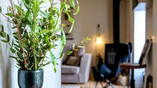 La Petite Vagabonde - Gîte N°56G54150 – ERDEVEN – Morbihan Bretagne Sud