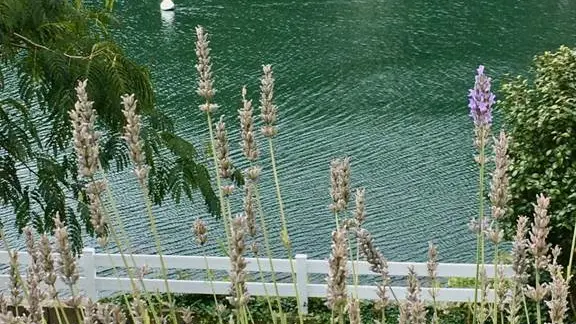 Au Vieux Pont - Chambre d'hôtes N°56G56298 – BONO (LE) – Morbihan Bretagne Sud