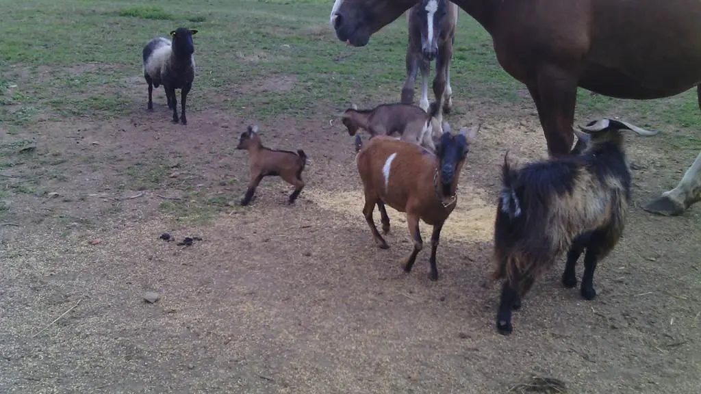 Les Jardins de Coët Kra - Chambre d'hôtes N°56G56440 – PLAUDREN – Morbihan Bretagne Sud