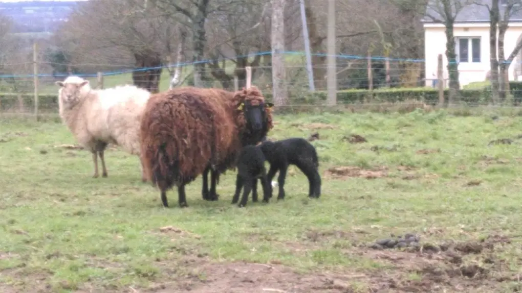 Les Jardins de Coët Kra - Chambre d'hôtes N°56G56440 – PLAUDREN – Morbihan Bretagne Sud