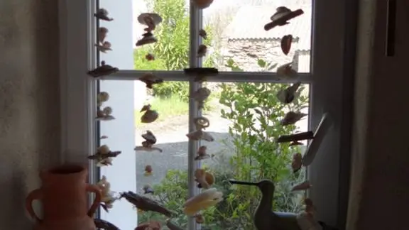 Ti kreiz - Gîte N°56G11410 – BELLE-ILE-EN-MER - LOCMARIA – Morbihan Bretagne Sud