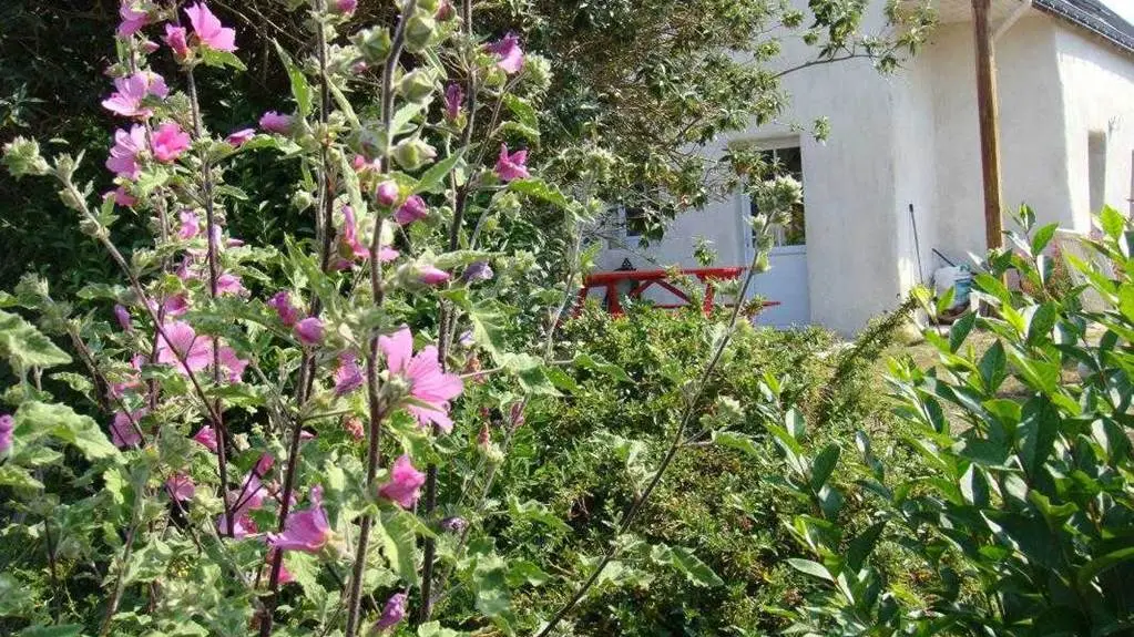 Ti kreiz - Gîte N°56G11410 – BELLE-ILE-EN-MER - LOCMARIA – Morbihan Bretagne Sud