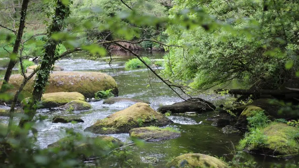 La Villeneuve Pontulaire - Gîte N°56G1665 – PLOUAY – Morbihan Bretagne Sud