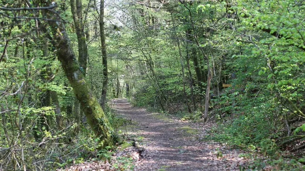 La Villeneuve Pontulaire - Gîte N°56G1665 – PLOUAY – Morbihan Bretagne Sud