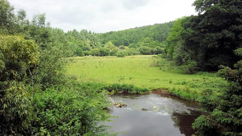 La Villeneuve Pontulaire - Gîte N°56G1665 – PLOUAY – Morbihan Bretagne Sud