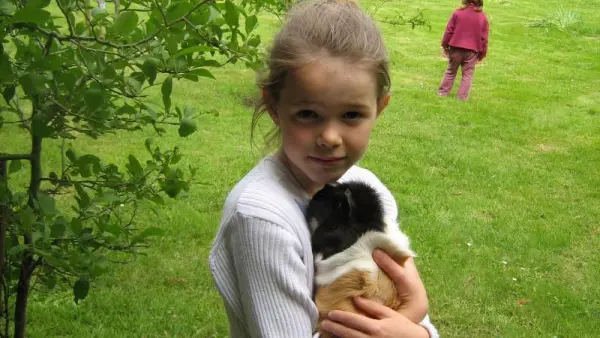 Gîte n°56G24026 – SARZEAU – Morbihan Bretagne Sud