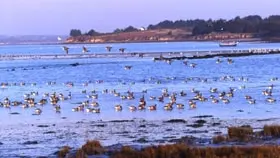 Gîte n°56G24026 – SARZEAU – Morbihan Bretagne Sud