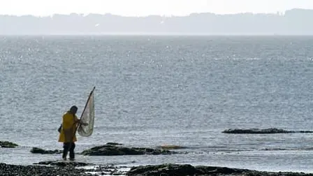 Gîte n°56G24026 – SARZEAU – Morbihan Bretagne Sud