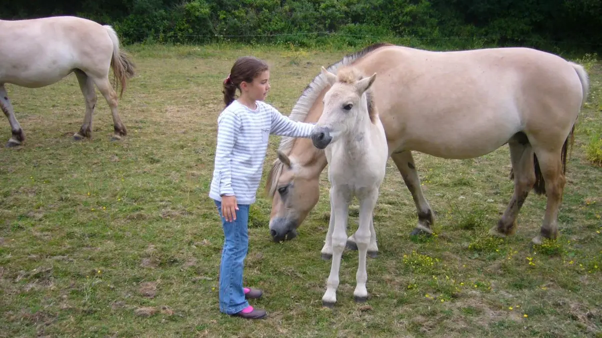 Gîte n°56G24026 – SARZEAU – Morbihan Bretagne Sud