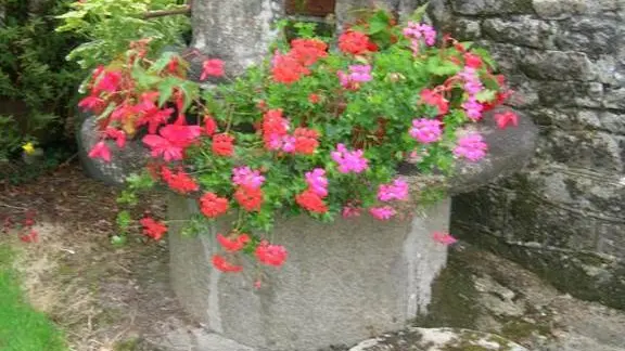 Kerimar - Gîte N°56G261 – BUBRY – Morbihan Bretagne Sud