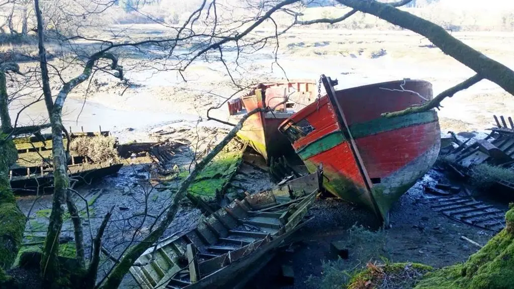 Ti Me Mamm - Gîte N°56G26225 – BONO (LE) – Morbihan Bretagne Sud