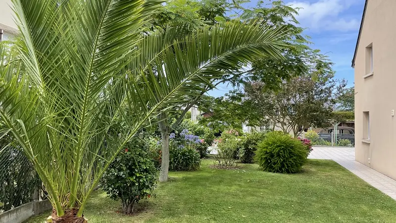 6-Dinard-gîte10 personnes-Le Clos Brizeux- extsud4