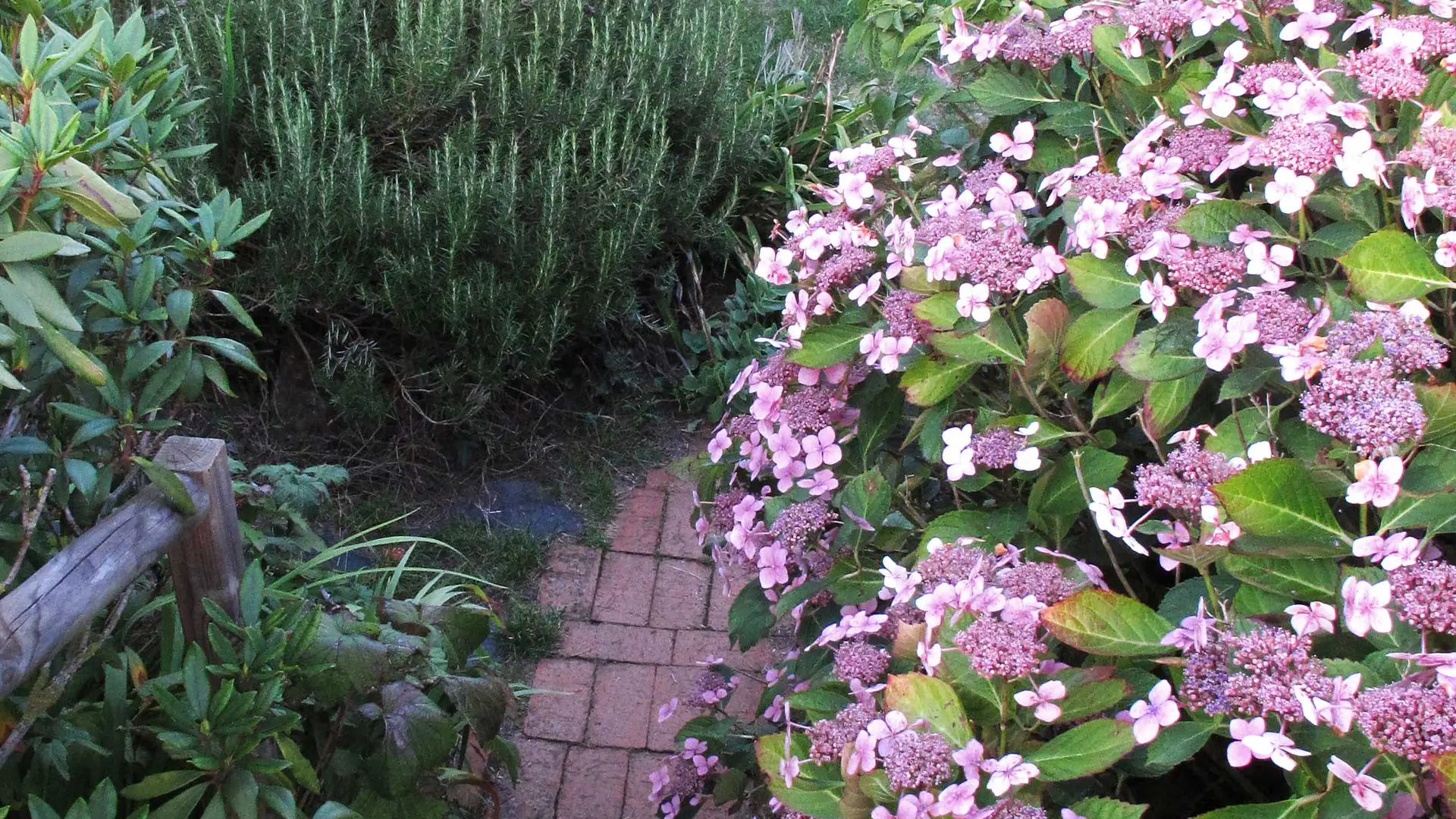 Chambres d'hôtes - Giverny Cottage - St Coulomb
