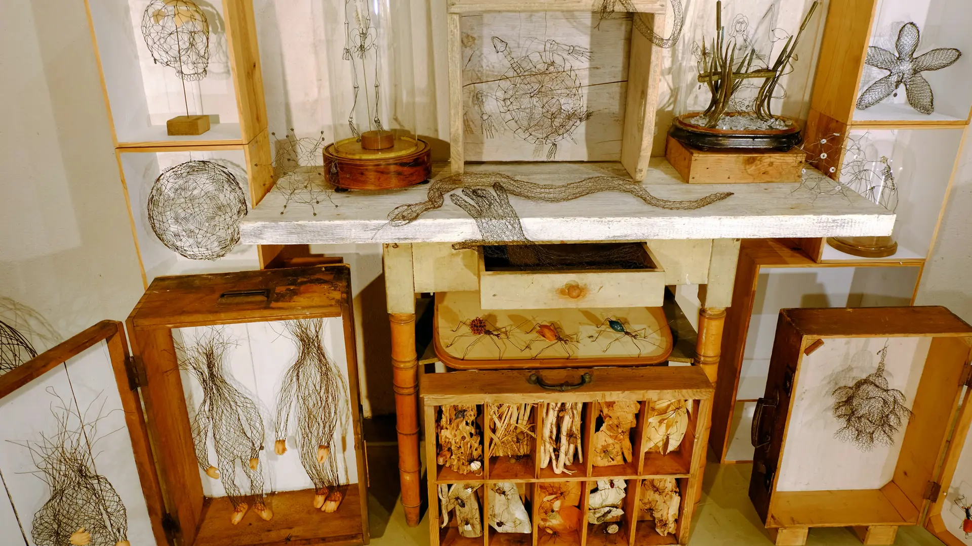 800745_2022_-_atelier_11_10eme_-_locmaria_-_artistes_-_sculptures_-_cabinet_des_curiosites