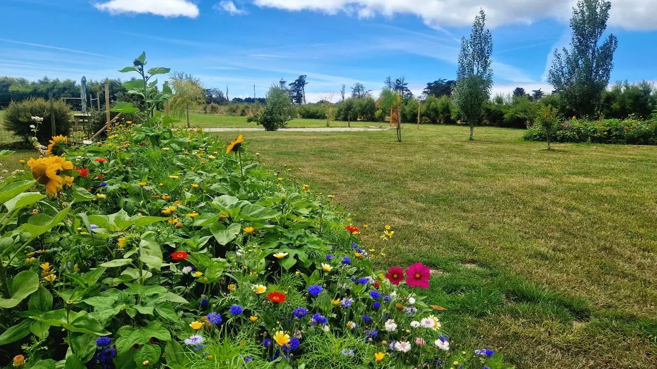 836207_2024-kerdavid_ile-parc_en_fleurs-location-locmaria_15