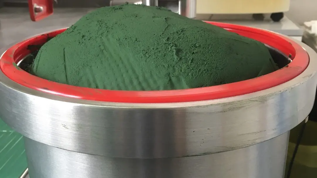 Bretagne Spiruline