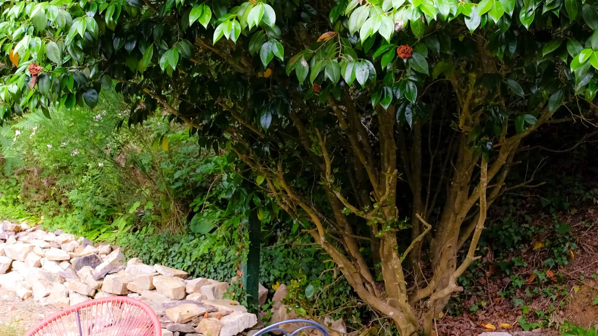 le jardin