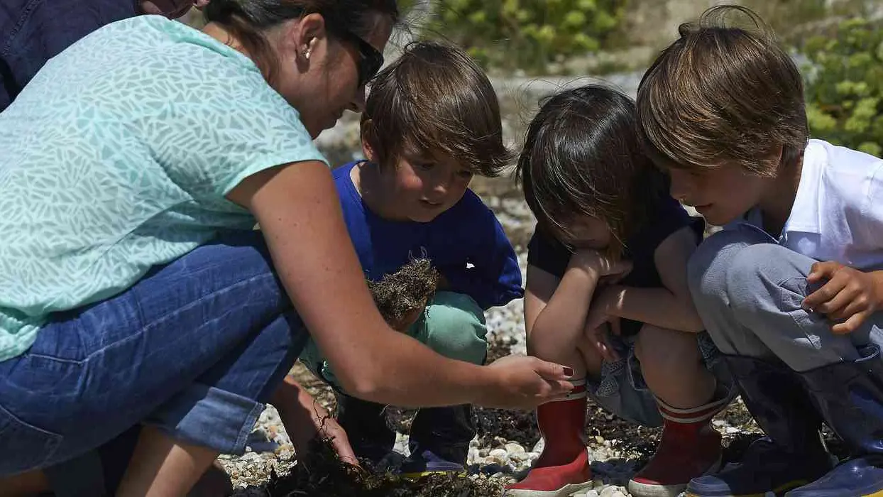 Maison-Ile-Kerner-Riantec-Morbihan-Bretagne-Sud