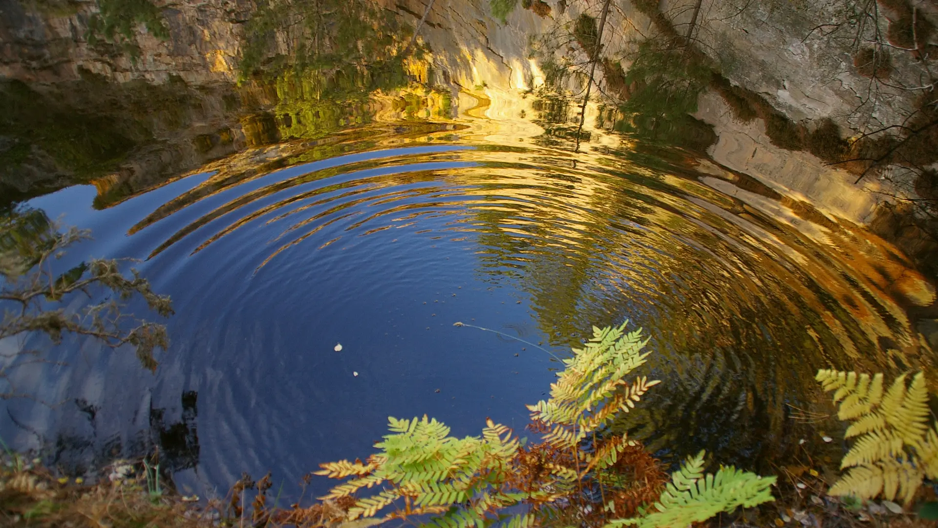 © jo rouxel 2008 (2)