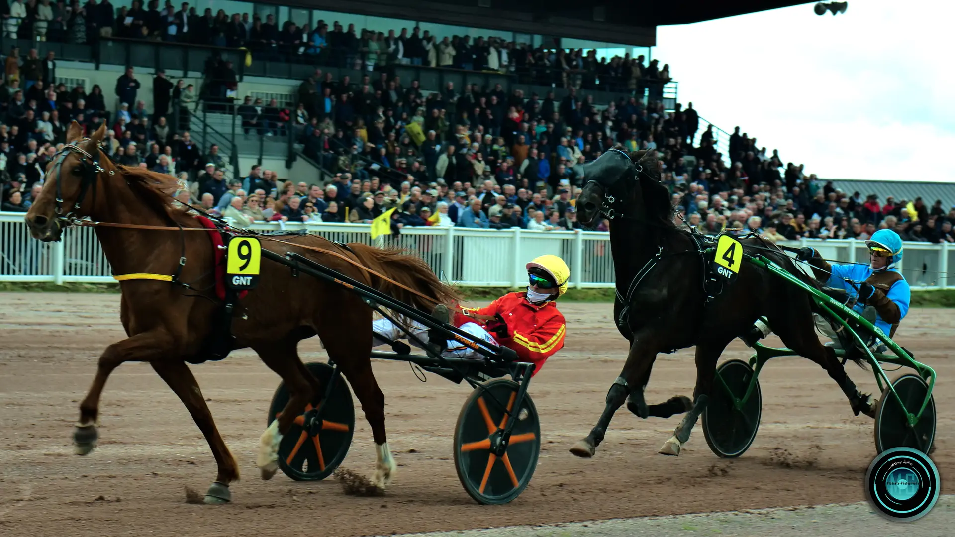 (2) GNDT - Maure de Bretagne-AGEFF PROD