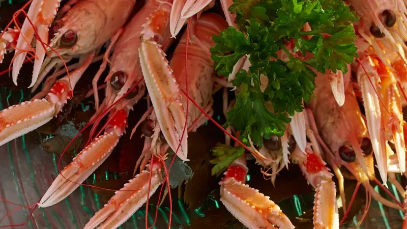 Hôtel - restaurant Belle Vue