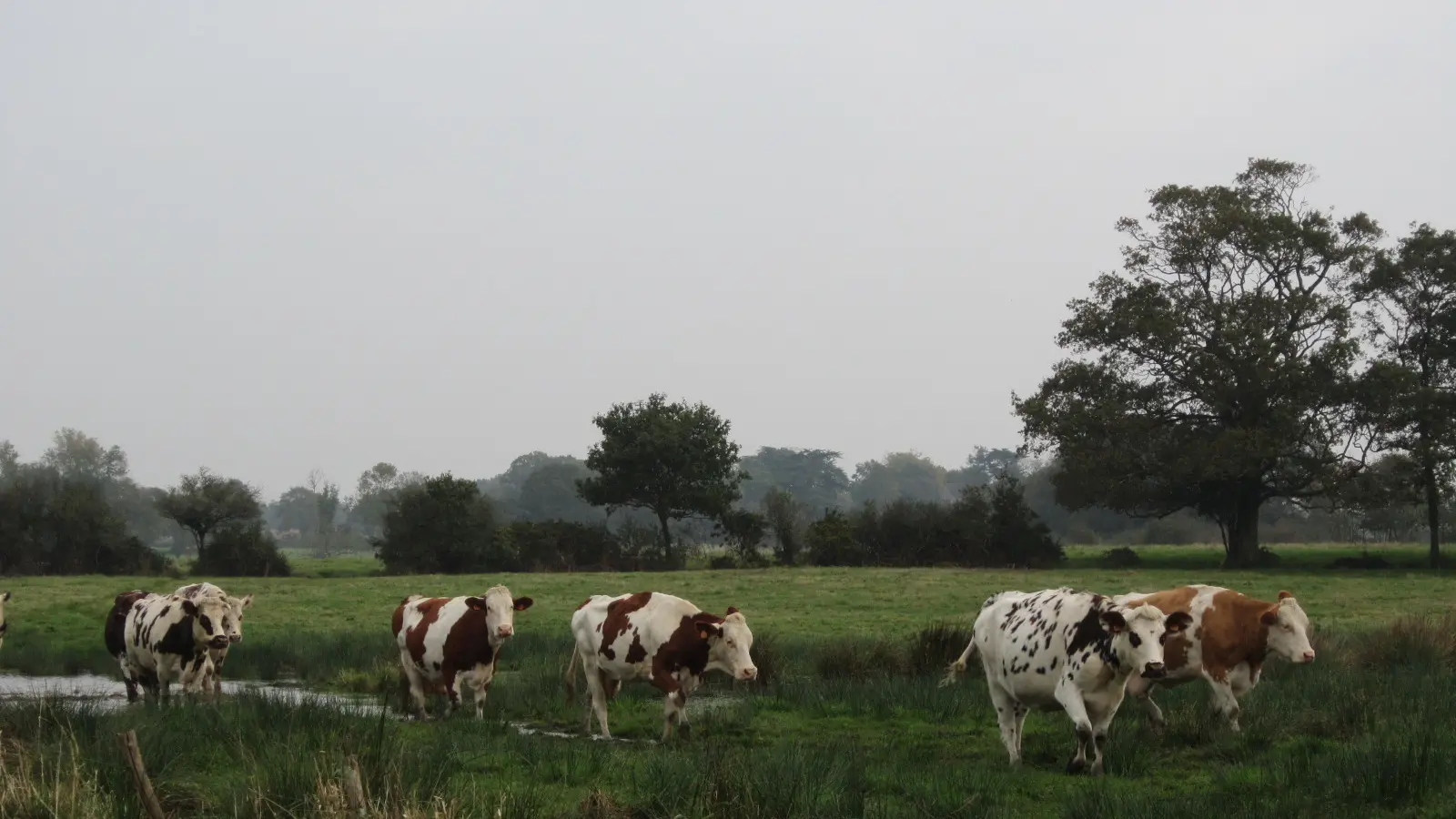©CC-Pays de Pont-Château_Saint-Gildas-des-Bois (3)