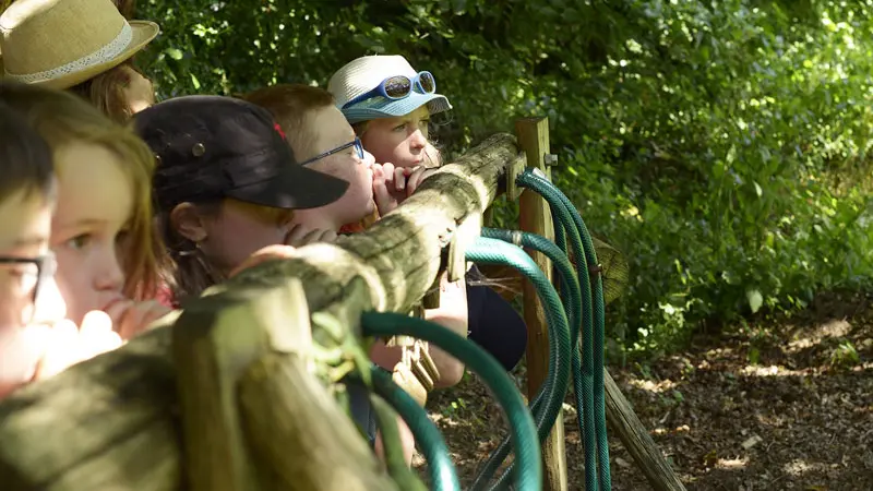 Centre de Découverte du Son
