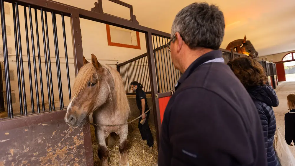 Haras National d'Hennebont