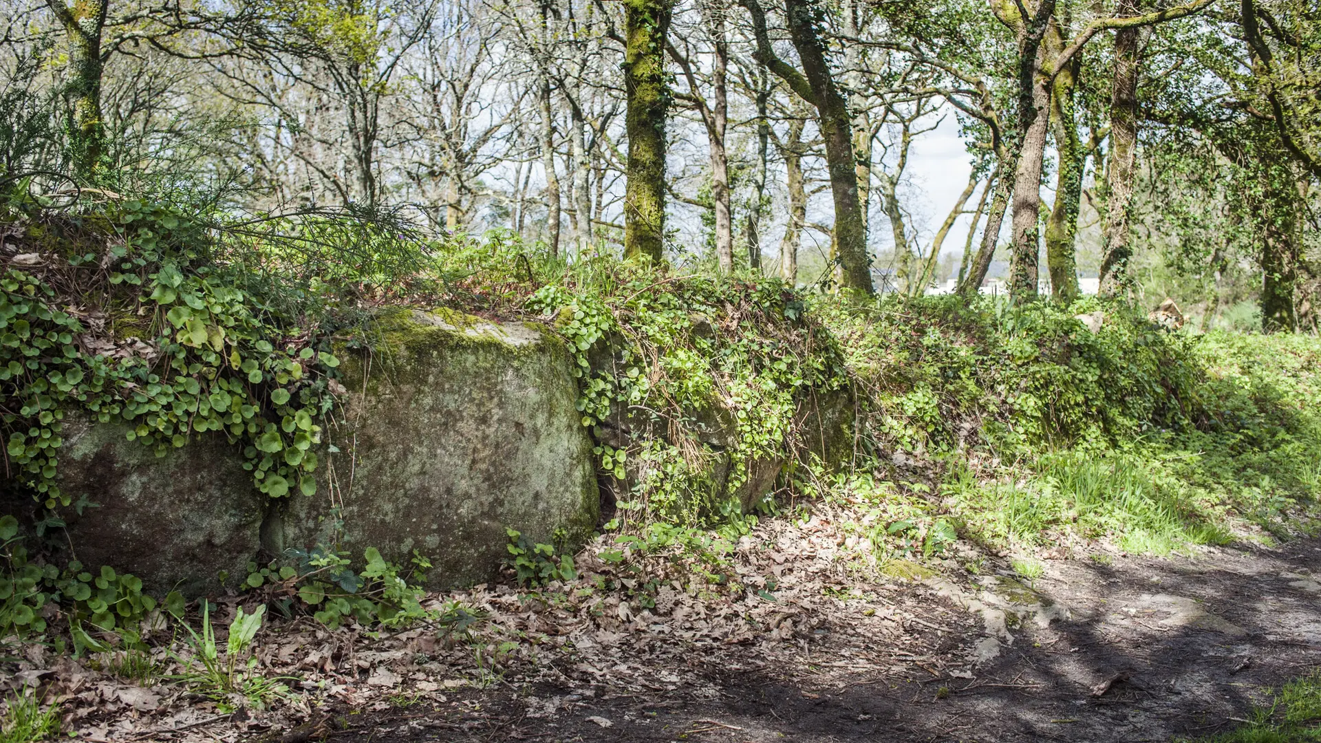 _DSC3456 copie.jpg_compressed