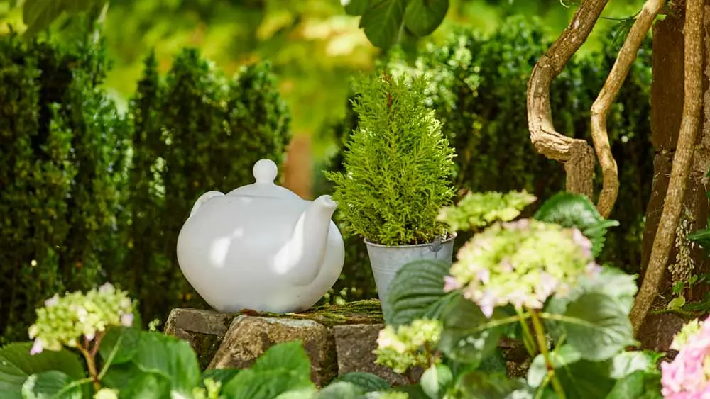 Manoir des Petites Bretonnes