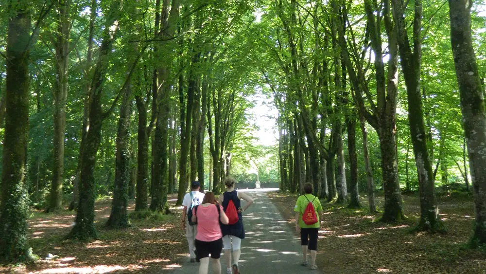 ©OT-Pontivy-Communauté_Circuit-Vallées-Plurit-et-Resto-(4)