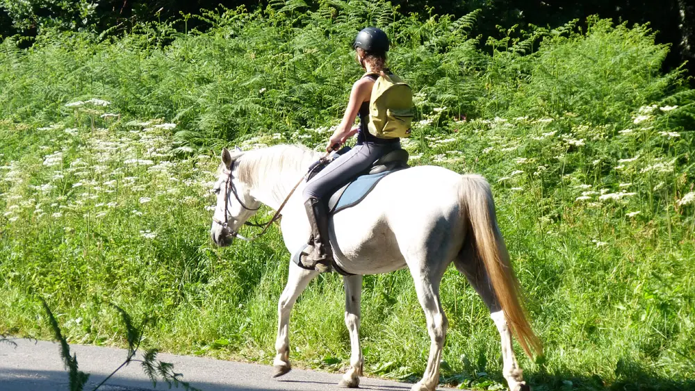 ©OT-Pontivy-Communauté_Circuit-de-Kalong-Guern-(4)