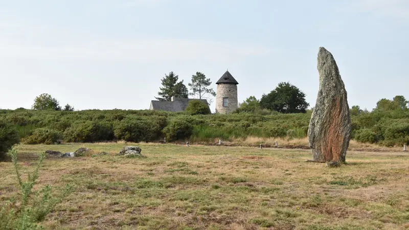 Maison Mégalithes et Landes