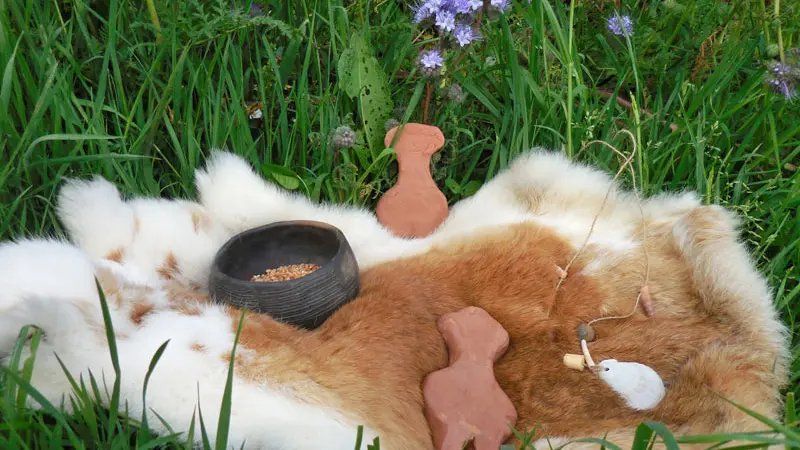 Maison Mégalithes et Landes