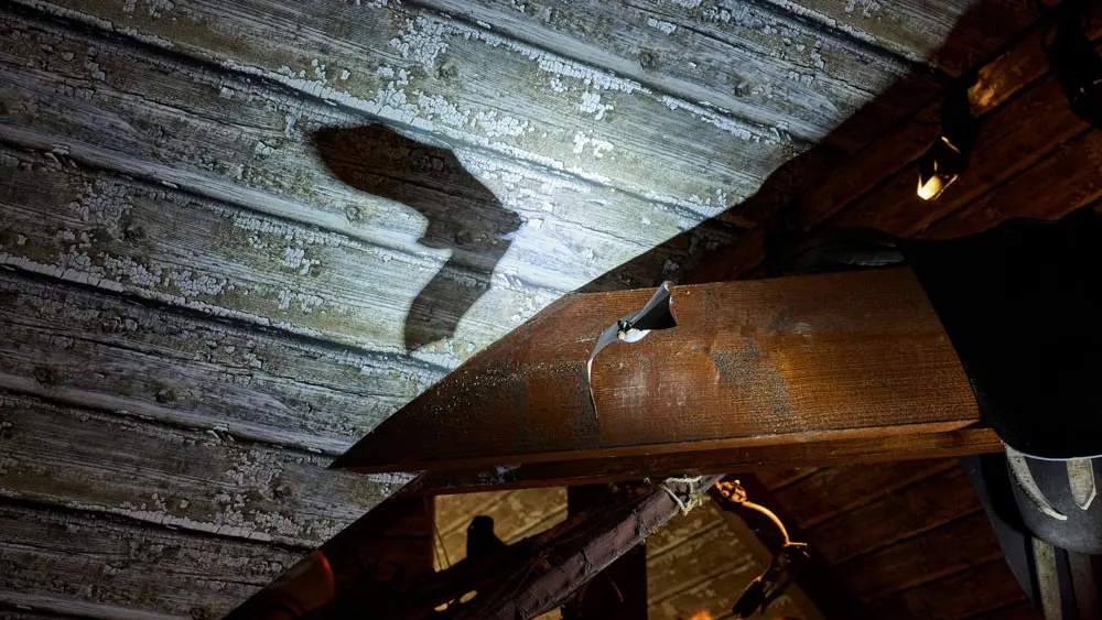 La Maison de la Chauve-Souris