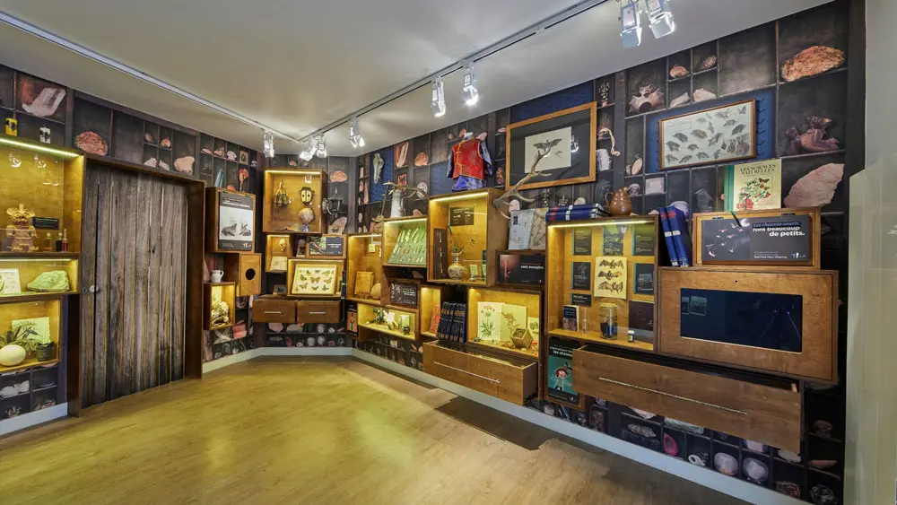 La Maison de la Chauve-Souris