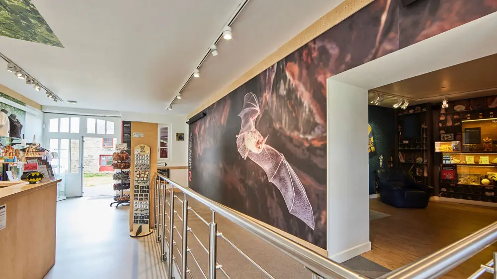 La Maison de la Chauve-Souris