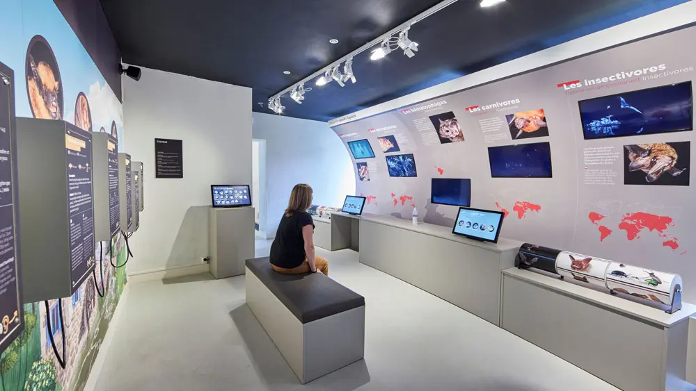 La Maison de la Chauve-Souris