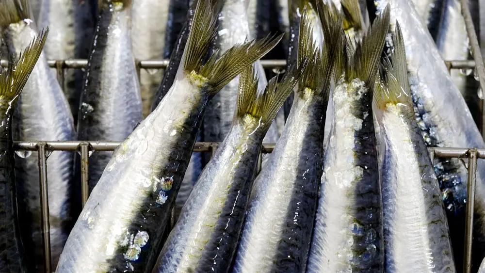 Conserverie La Compagnie Bretonne