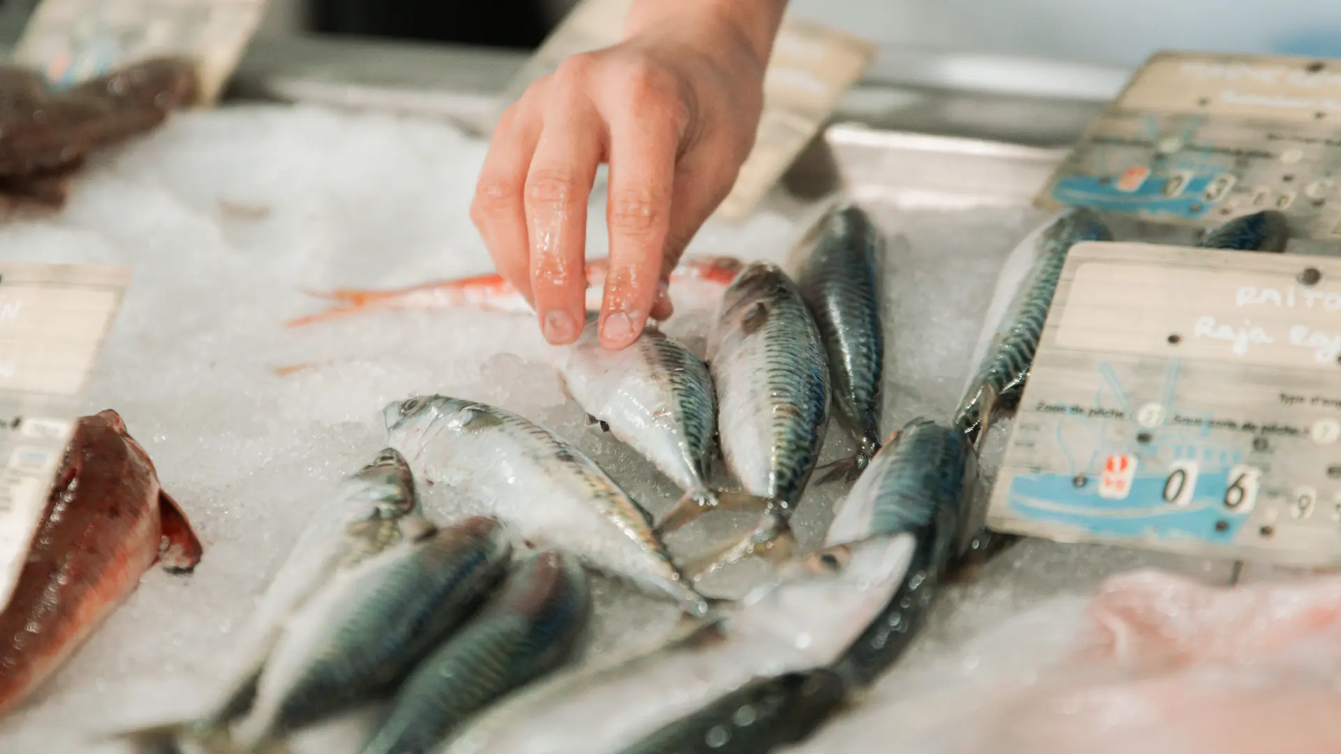 Poissonnerie Libouban