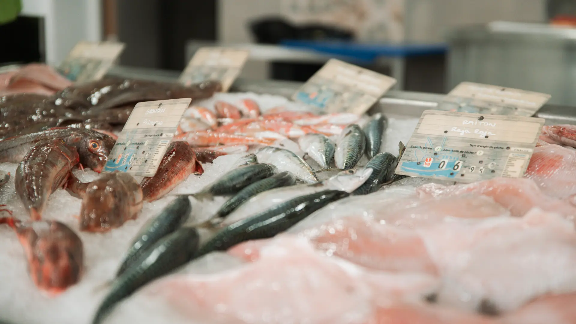 Poissonnerie Libouban