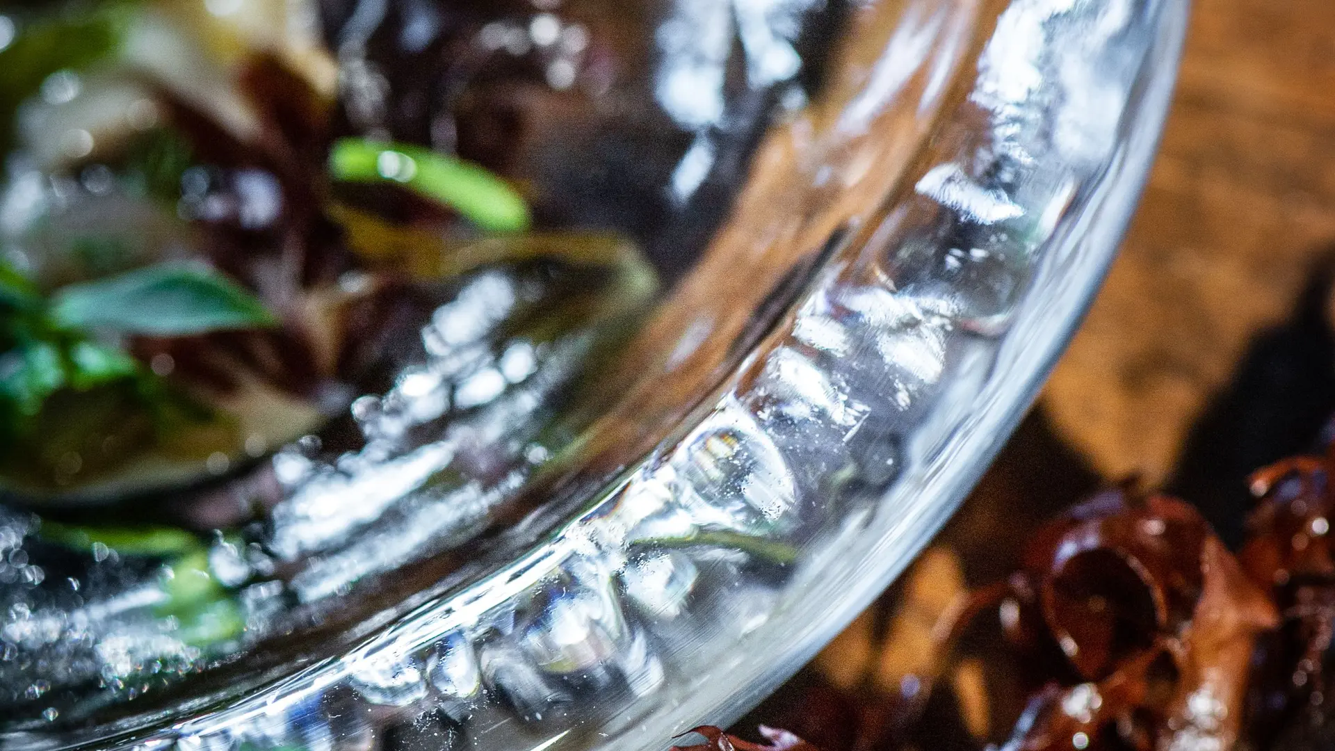 Le Coquillage - Saint Méloir des Ondes