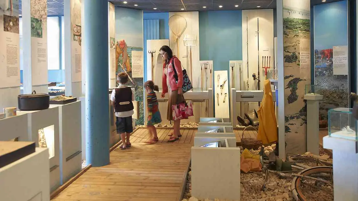 Maison-Ile-Kerner-Riantec-Morbihan-Bretagne-Sud